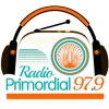 Radio Primordial
