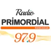 Radio Primordial