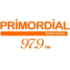 Radio Primordial