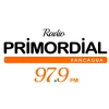Radio Primordial