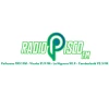 Radio Pisco 100.1 FM